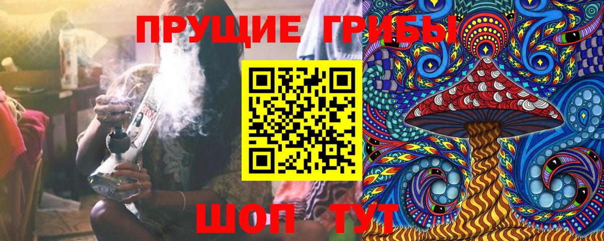 Галлюциногенные грибы Psilocybine cubensis Кропоткин
